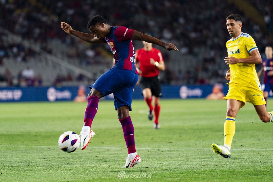 在今年的新 在今年的新